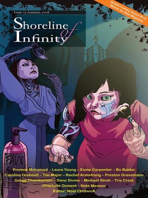 cover image of Shoreline of Infinity 13